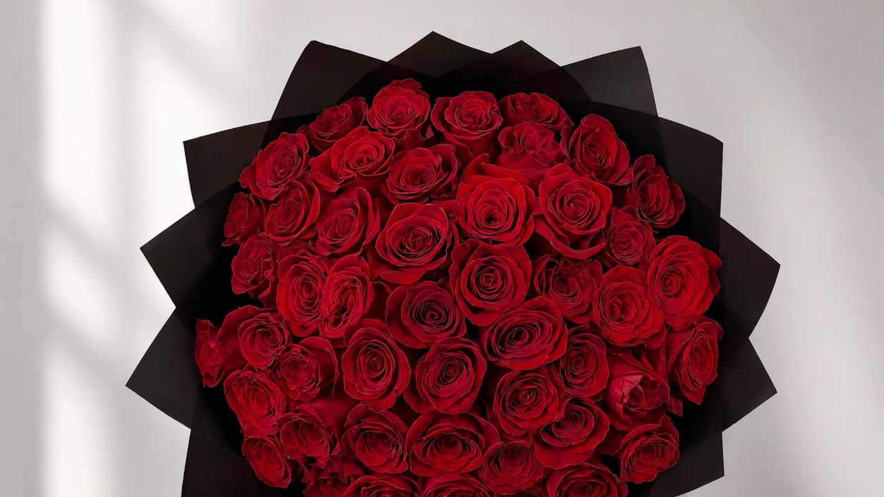 Fifty red roses in black luxury wrapping with baby's breath