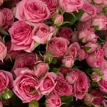 Bouquet by Flowers YEG