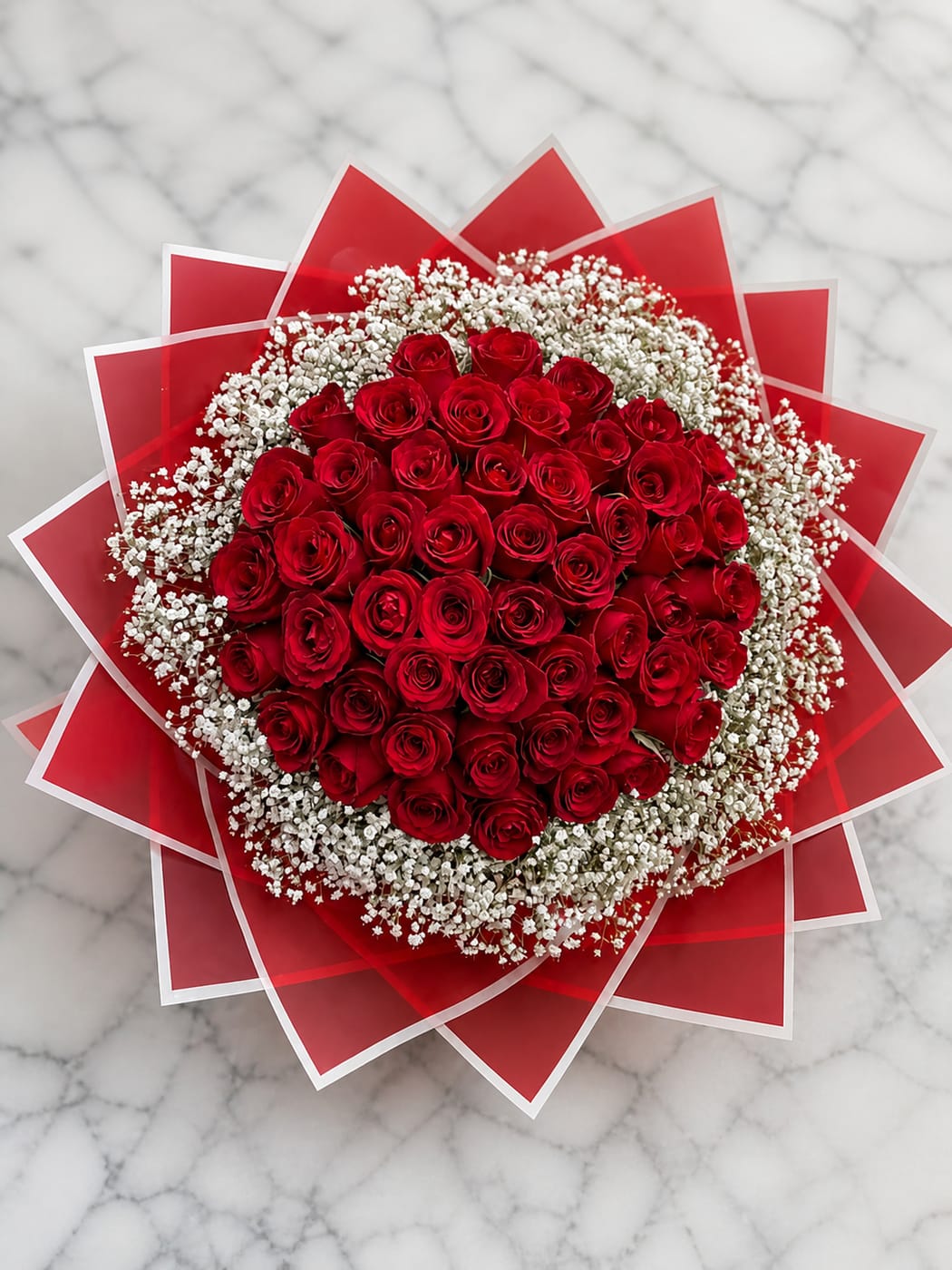 Velvet Bloom – 50 Roses